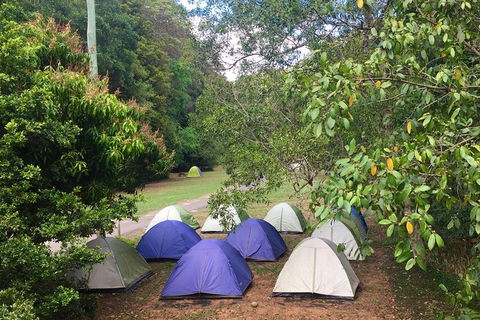Byron Bay Kayaking With Dolphins And Mount Warning Sunrise Climb Including Overnight Camping And BBQ Dinner - Accommodation Rockhampton 13