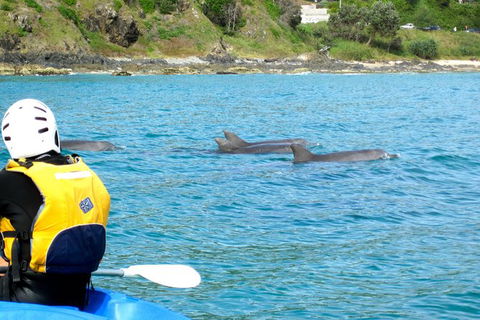 Byron Bay Kayaking With Dolphins And Mount Warning Sunrise Climb Including Overnight Camping And BBQ Dinner - Accommodation Rockhampton 8