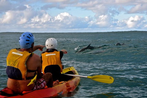 Byron Bay Kayaking With Dolphins And Mount Warning Sunrise Climb Including Overnight Camping And BBQ Dinner - Accommodation Rockhampton 3