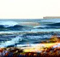 7-Day Byron Bay Evans Head and Moonee Beach Surf Safari from Brisbane Gold Coast or Byron Bay - Accommodation Rockhampton