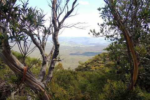Blue Mountains Small-Group Insider Tour From Sydney - Accommodation Rockhampton 6