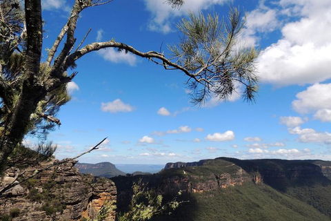 Blue Mountains Small-Group Insider Tour From Sydney - Accommodation Rockhampton 15