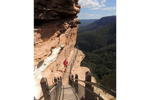 Blue Mountains Small-Group Insider Tour From Sydney - Accommodation Rockhampton 13