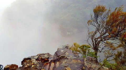 Blue Mountains Day Trip Including Parramatta River Cruise - Accommodation Rockhampton 12