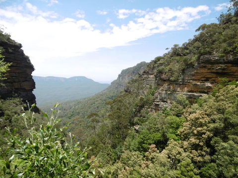 Blue Mountains Day Trip Including Parramatta River Cruise - Accommodation Rockhampton 8