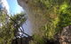 Blue Mountains Day Trip Including Parramatta River Cruise - thumb 5