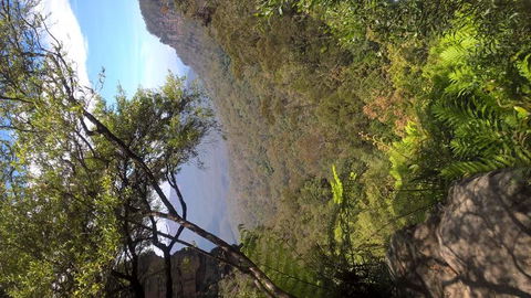 Blue Mountains Day Trip Including Parramatta River Cruise - Accommodation Rockhampton 5