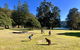 Best Of The Hawkesbury - 3 Day River Adventure - thumb 22