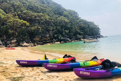 Best Of The Hawkesbury - 3 Day River Adventure - Accommodation Rockhampton 17