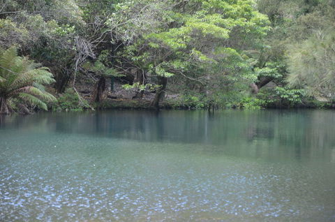 Blue Mountains And Jenolan Caves Motorcoach Day Tour - Accommodation Rockhampton 4