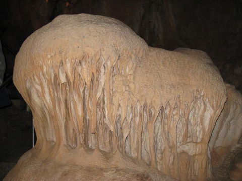 Blue Mountains And Jenolan Caves Motorcoach Day Tour - Accommodation Rockhampton 18