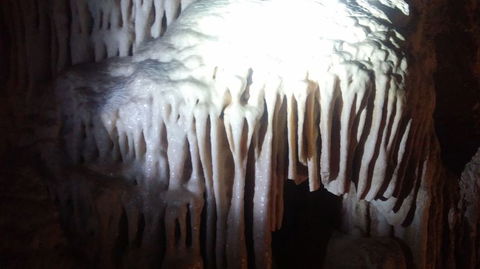 Blue Mountains And Jenolan Caves Motorcoach Day Tour - Accommodation Rockhampton 6