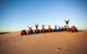 Worimi Sand Dunes Quad Bike Tour - thumb 2