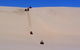 Worimi Sand Dunes Quad Bike Tour - thumb 3