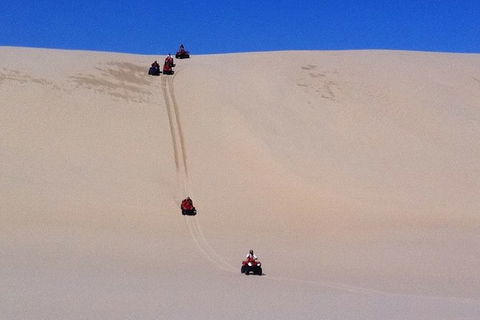Worimi Sand Dunes Quad Bike Tour - Accommodation Rockhampton 3