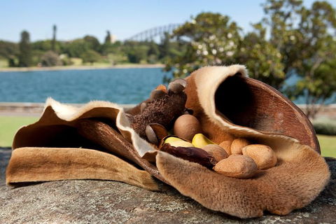 Aboriginal Heritage Tour At The Royal Botanic Garden Sydney - Accommodation Rockhampton 7
