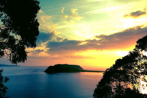 Palm Beach And Pittwater Kayak Tours - Accommodation Rockhampton 0