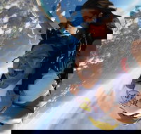 Coffs Harbour Ground Rush or Max Freefall Tandem Skydive on the Beach - Accommodation Rockhampton