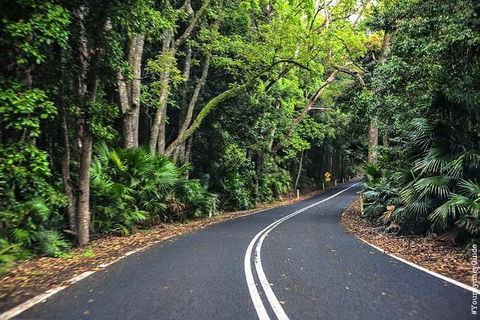 Waves Waterfalls And Wineries Full-Day Southern Highlands Private Tour - Accommodation Rockhampton 8