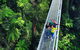 Waves Waterfalls And Wineries Full-Day Southern Highlands Private Tour - thumb 7