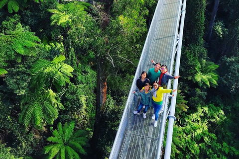 Waves Waterfalls And Wineries Full-Day Southern Highlands Private Tour - Accommodation Rockhampton 7