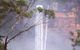 Waves Waterfalls And Wineries Full-Day Southern Highlands Private Tour - thumb 4