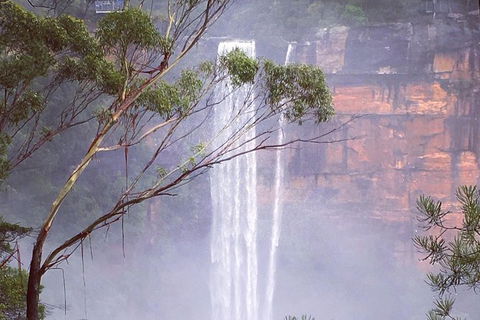 Waves Waterfalls And Wineries Full-Day Southern Highlands Private Tour - Accommodation Rockhampton 4