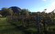 Small Group All Inclusive Hunter Valley Wine Tasting Tour From Sydney - thumb 17