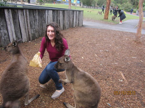 Small Group All Inclusive Hunter Valley Wine Tasting Tour From Sydney - Accommodation Rockhampton 14