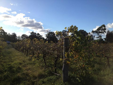Small Group All Inclusive Hunter Valley Wine Tasting Tour From Sydney - Accommodation Rockhampton 18