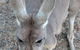 Small Group All Inclusive Hunter Valley Wine Tasting Tour From Sydney - thumb 6