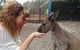 Small Group All Inclusive Hunter Valley Wine Tasting Tour From Sydney - thumb 16