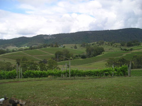 Small Group All Inclusive Hunter Valley Wine Tasting Tour From Sydney - Accommodation Rockhampton 9