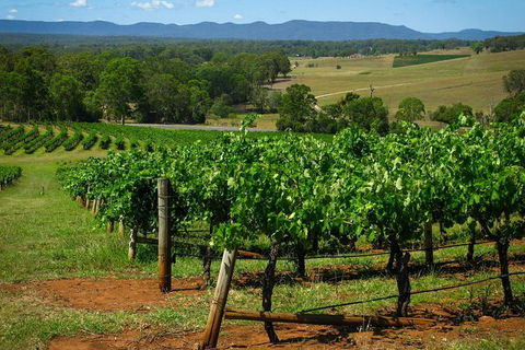 Small Group All Inclusive Hunter Valley Wine Tasting Tour From Sydney - Accommodation Rockhampton 26