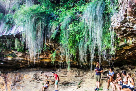 Sunset Blue Mountains Wilderness & Wildlife Tour (Without The Crowds) - Accommodation Rockhampton 8