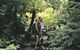 Sunset Blue Mountains Wilderness & Wildlife Tour (Without The Crowds) - thumb 6