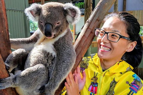 Wildlife Waterfalls And Wine Day Tour From Sydney - Accommodation Rockhampton 0