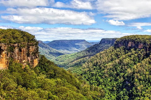 Wildlife Waterfalls And Wine Day Tour From Sydney - Accommodation Rockhampton 9