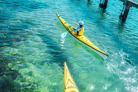 Self-Guided Sydney Middle Harbour Kayak 3 Hour Tour By Single Kayak - Accommodation Rockhampton 1