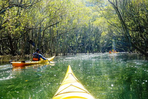 Self-Guided Sydney Middle Harbour Kayak 3 Hour Tour By Single Kayak - Accommodation Rockhampton 5