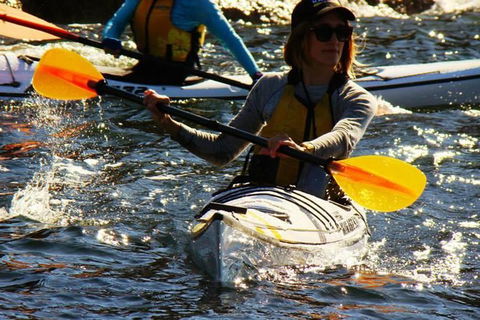 Self-Guided Sydney Middle Harbour Kayak 3 Hour Tour By Single Kayak - Accommodation Rockhampton 8