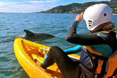 Byron Bay Combo: Hinterland Tour Including Minyon Falls And Kayaking With Dolphins - Accommodation Rockhampton 1
