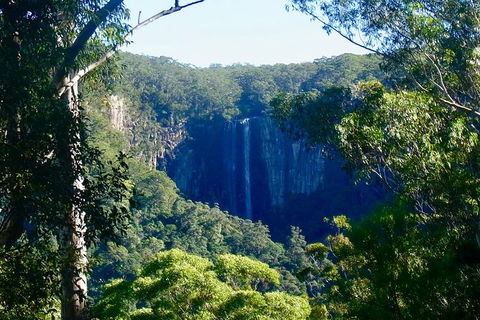 Byron Bay Combo: Hinterland Tour Including Minyon Falls And Kayaking With Dolphins - Accommodation Rockhampton 5