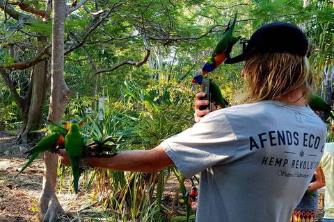 Stray Australia: Byron Bay To Cairns - Freestyle Tour - Accommodation Rockhampton 1