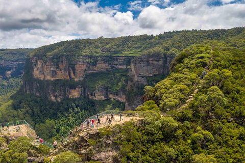 Stray Australia: Blue Mountains - Day Tour - Accommodation Rockhampton 0