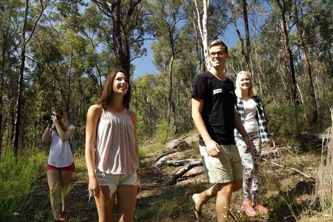 Stray Australia: Blue Mountains - Day Tour - Accommodation Rockhampton 1