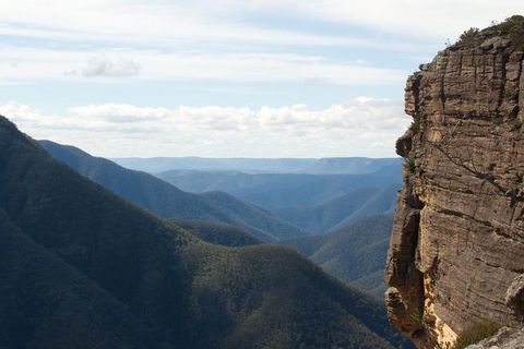 Inside The Greater Blue Mountains World Heritage - A Private Wildlife Safari Overnight - Accommodation Rockhampton 0