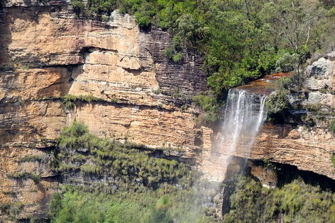 Inside The Greater Blue Mountains World Heritage - A Private Wildlife Safari Overnight - Accommodation Rockhampton 9