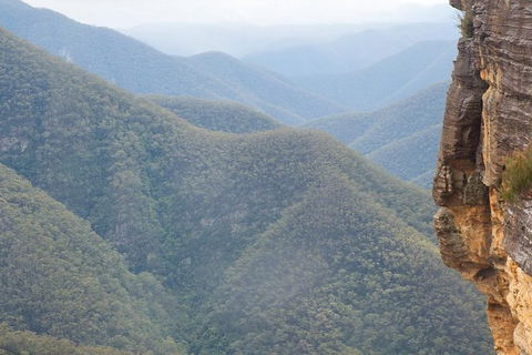 Inside The Greater Blue Mountains World Heritage - A Private Wildlife Safari Overnight - Accommodation Rockhampton 19