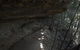 Inside The Greater Blue Mountains World Heritage - A Private Wildlife Safari Overnight - thumb 45